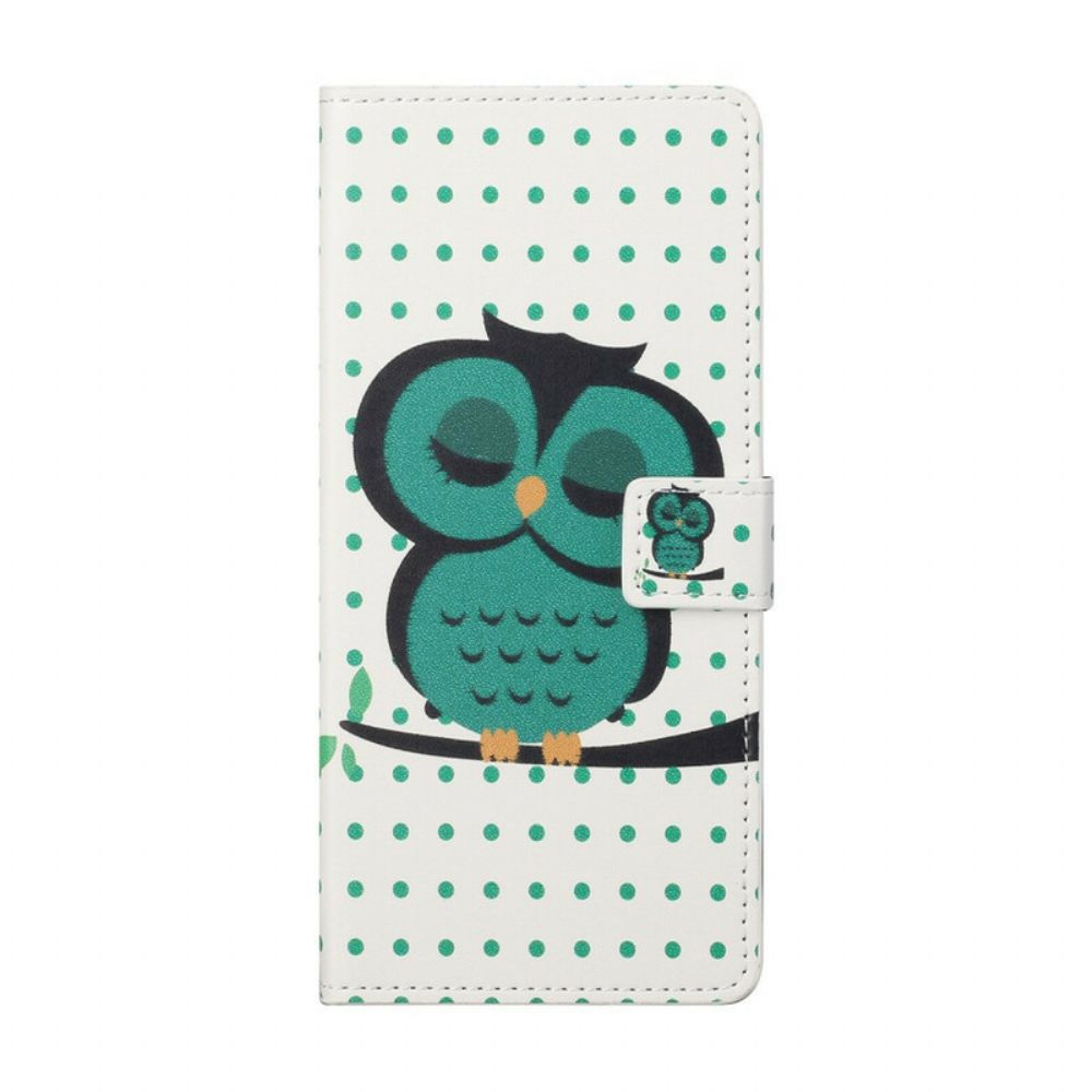 Folio-hoesje voor iPhone 13 Slapende Uil