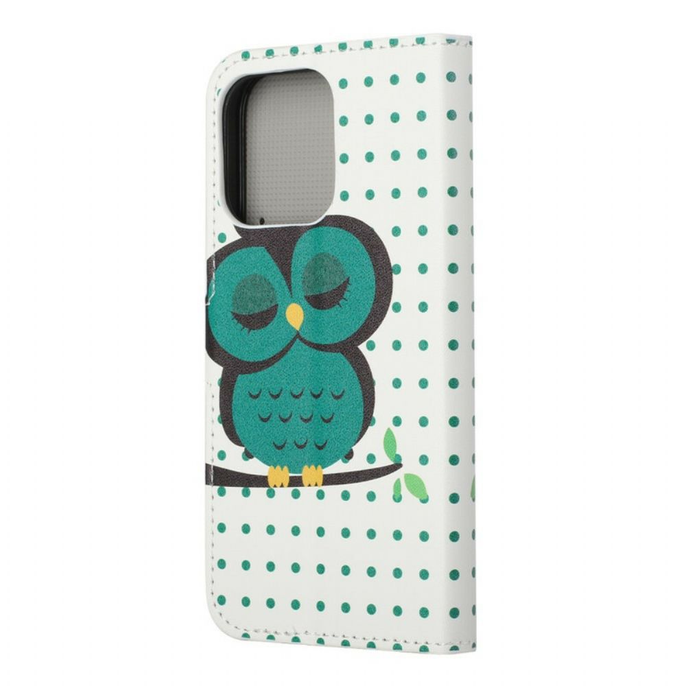 Folio-hoesje voor iPhone 13 Slapende Uil