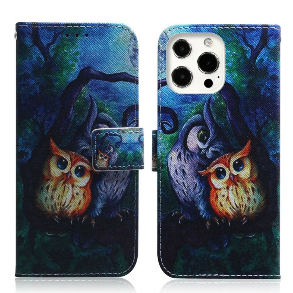 Folio-hoesje voor iPhone 13 Pro Max Uilen Schilderen