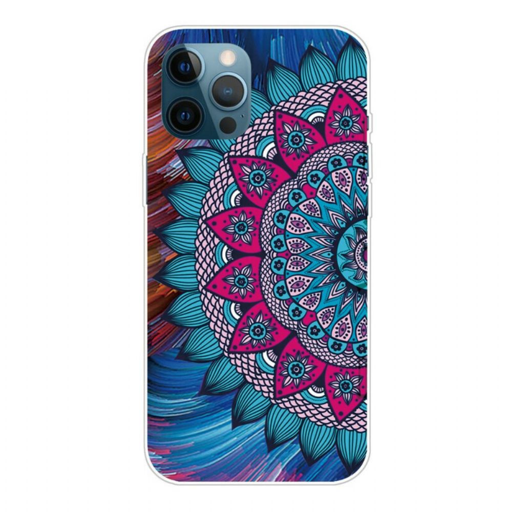 Hoesje voor iPhone 13 Pro Max Kleurrijke Mandala