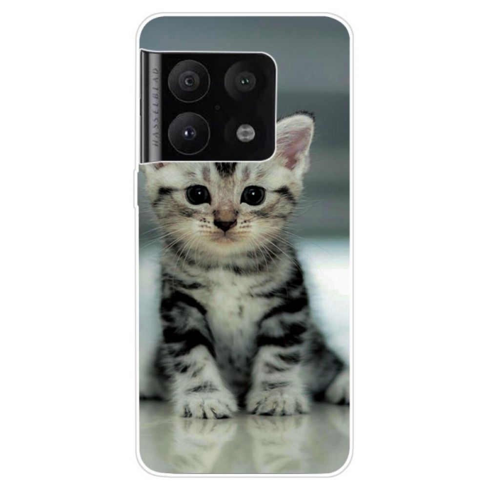 Hoesje voor OnePlus 10 Pro 5G Kitten Kitten