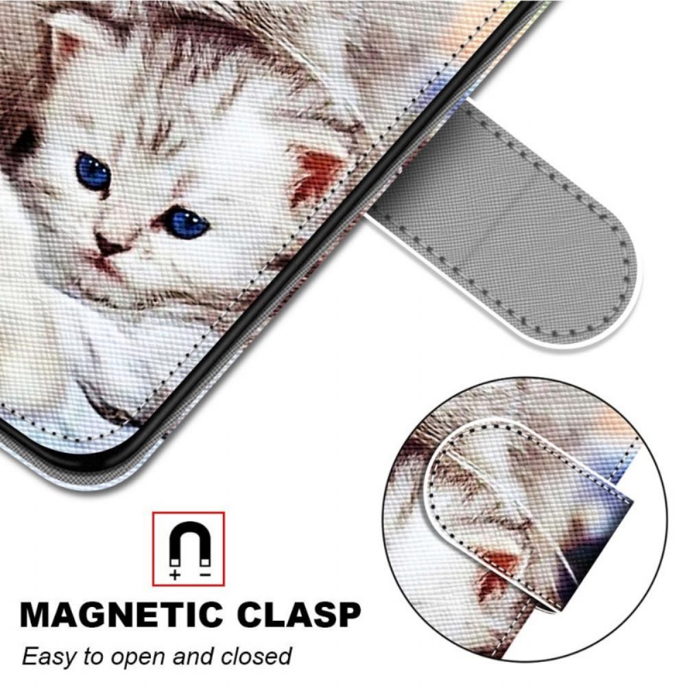 Flip Case voor Samsung Galaxy M23 5G Kattenfamilie