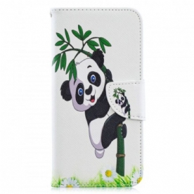 Folio-hoesje voor Huawei Y6 2019 / Honor 8A Panda Op Bamboe