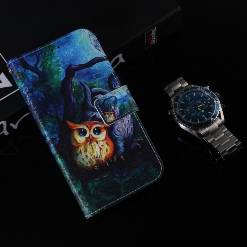 Leren Hoesje voor Samsung Galaxy M53 5G Uil Schilderij