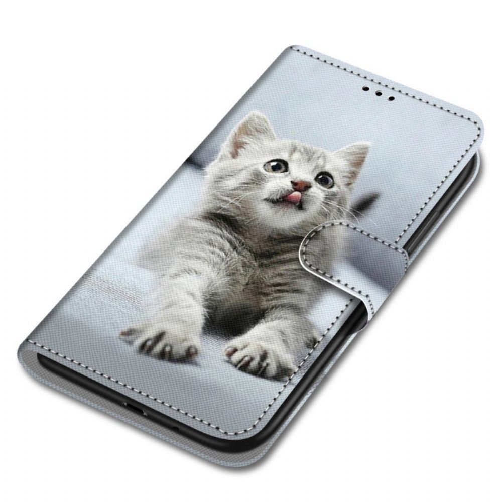 Folio-hoesje voor Xiaomi Redmi Note 11 Pro Plus 5G Met Ketting Grijze Kitten Met Bandjes