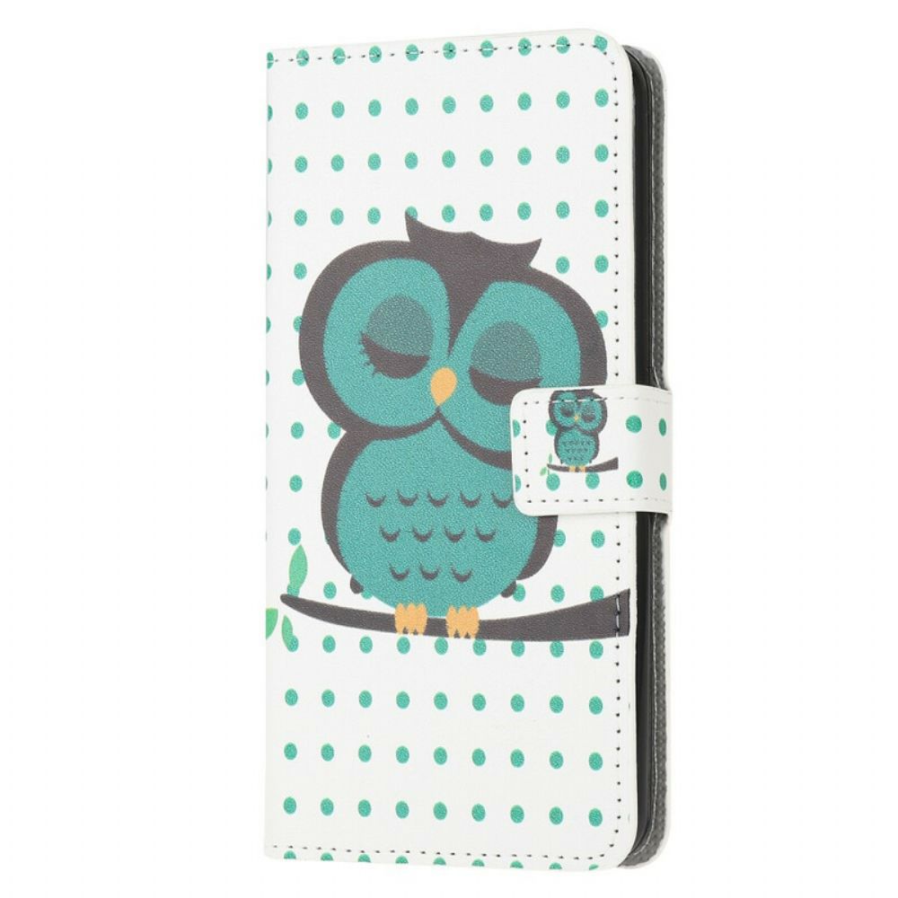 Folio-hoesje voor iPhone 13 Mini Slapende Uil