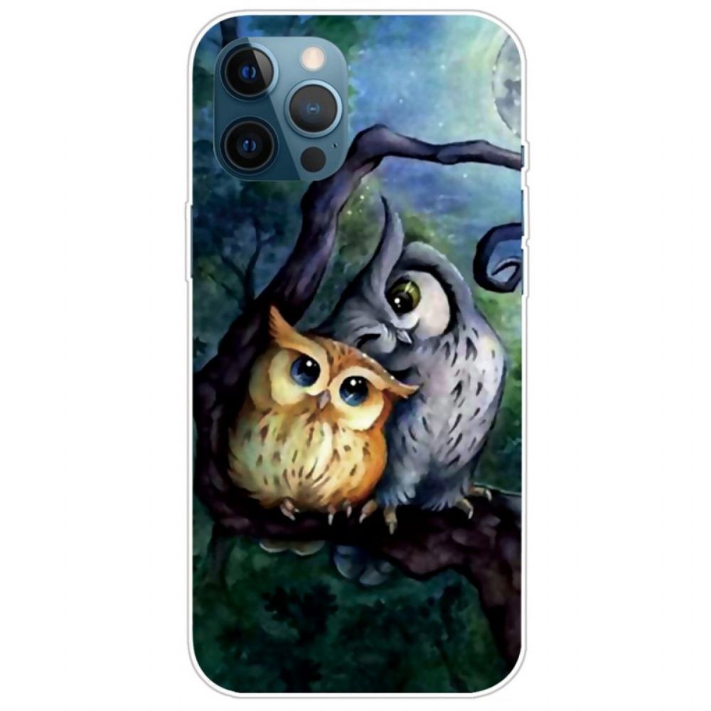 Hoesje voor iPhone 14 Pro Max Uil Schilderij