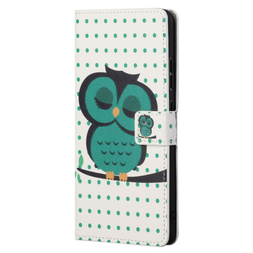 Folio-hoesje voor Moto G31 / Moto G41 Slapende Uil