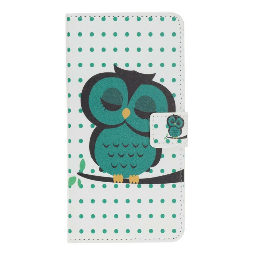 Folio-hoesje voor iPhone 11 Slapende Uil