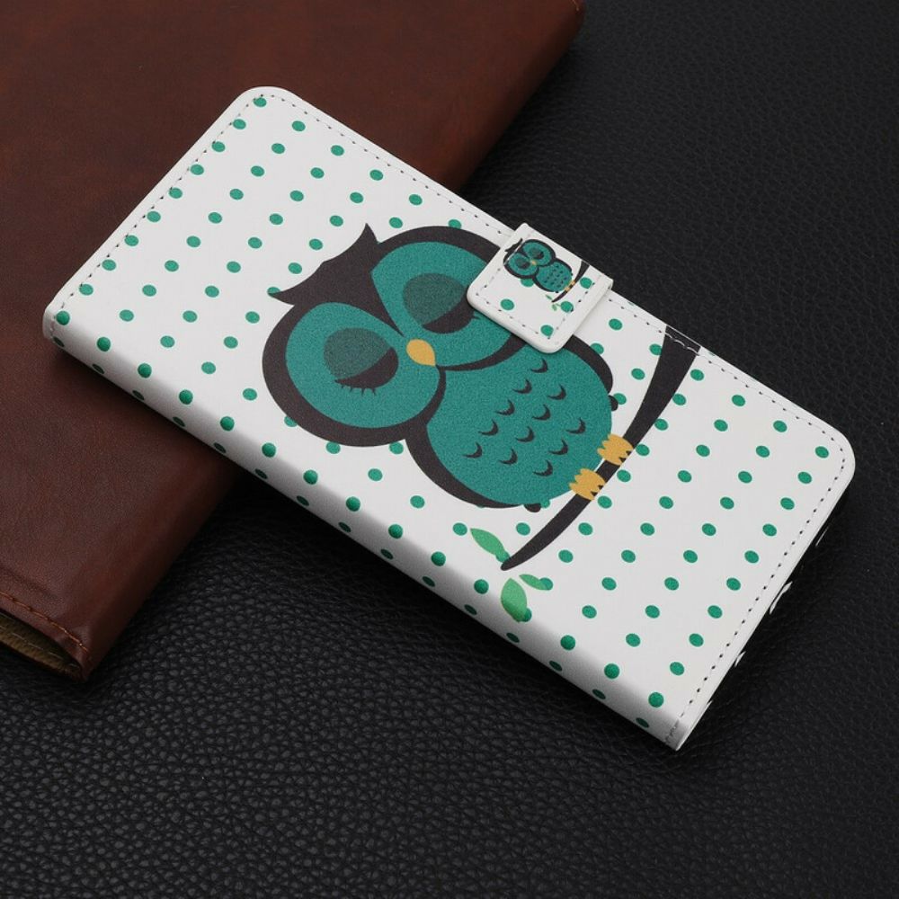 Folio-hoesje voor iPhone 11 Slapende Uil