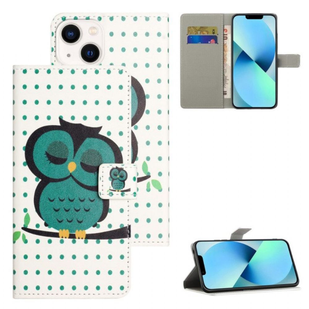 Folio-hoesje voor iPhone 15 Slapende Uil